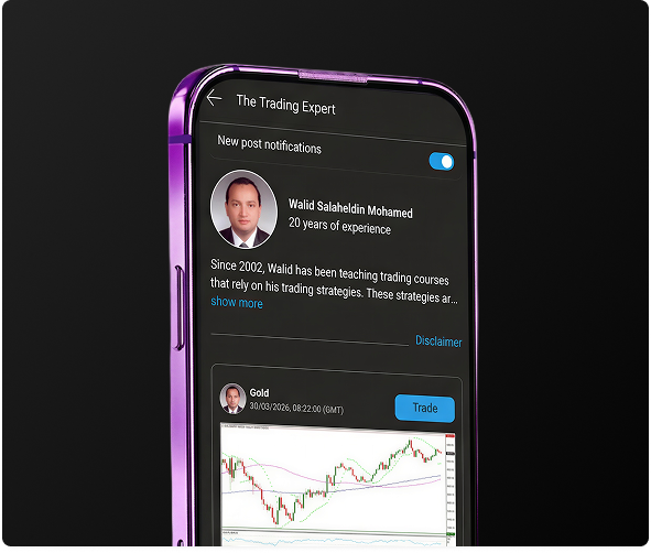 The Trading Expert